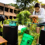 Sustainability Initiatives and Eco-Clubs: Creating a Greener Campus