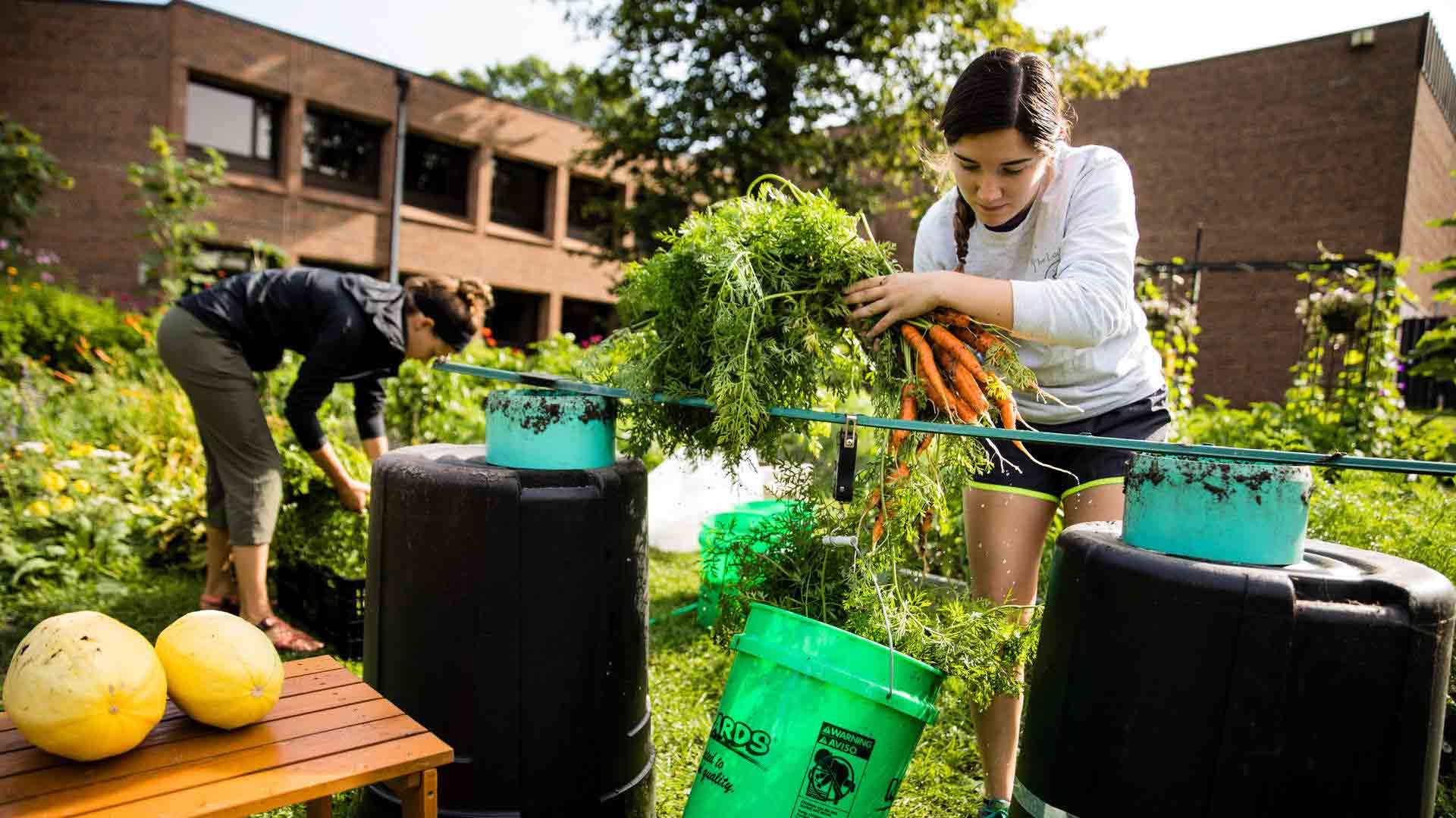 Sustainability Initiatives and Eco-Clubs: Creating a Greener Campus